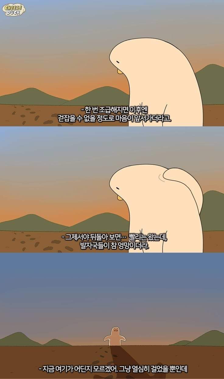 치즈 척 만화의 조급함과 관련된 장면이다.
'한 번 조급해지면 이후엔 걷잡을 수 없을 정도로 마음이 앞서가더라고. 그제서야 뒤돌아보면... 빨리는 왔는데, 발자국들이 참 엉망이더라. 지금 여기가 어딘지 모르겠어. 그냥 열심히 걸었을 뿐인데.'