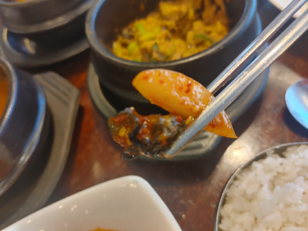 우렁이 초무침 한 젓가락 사진
