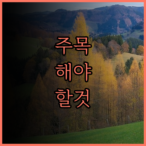 샹그릴라 라사 리아 코타키나발루 완벽