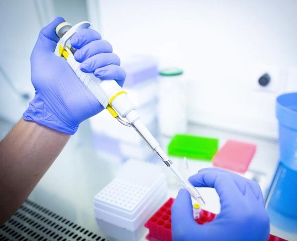 디앤디파마텍 기업정보 PDF 다운로드 