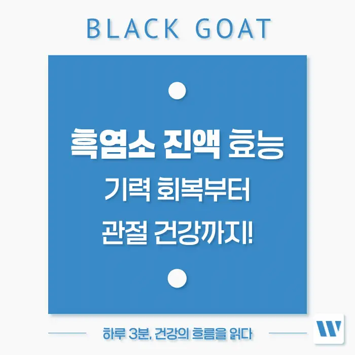 흑염소 진액 효능 효과