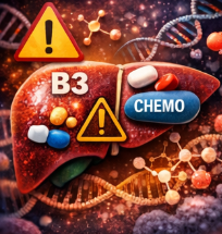 비타민 B3와 항암제의 상호작용