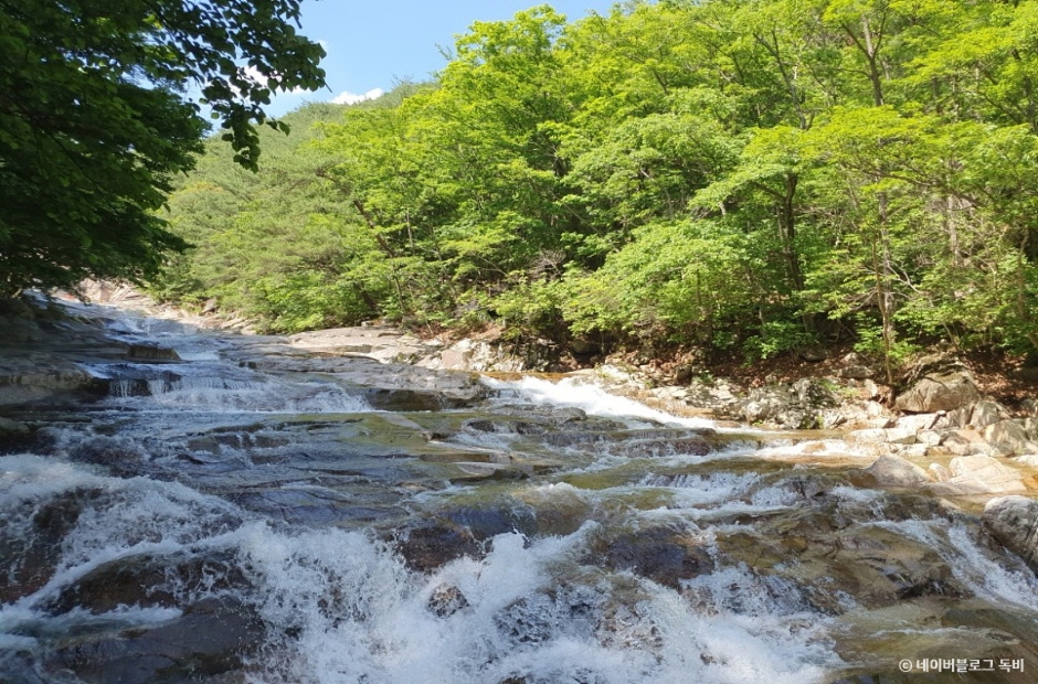 밀양 가볼만한곳 베스트10