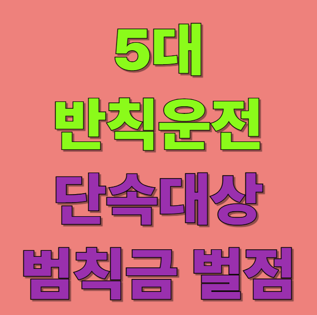 5대 반칙운전 9월 1일부터 단속 범칙금과 벌점은 얼마?