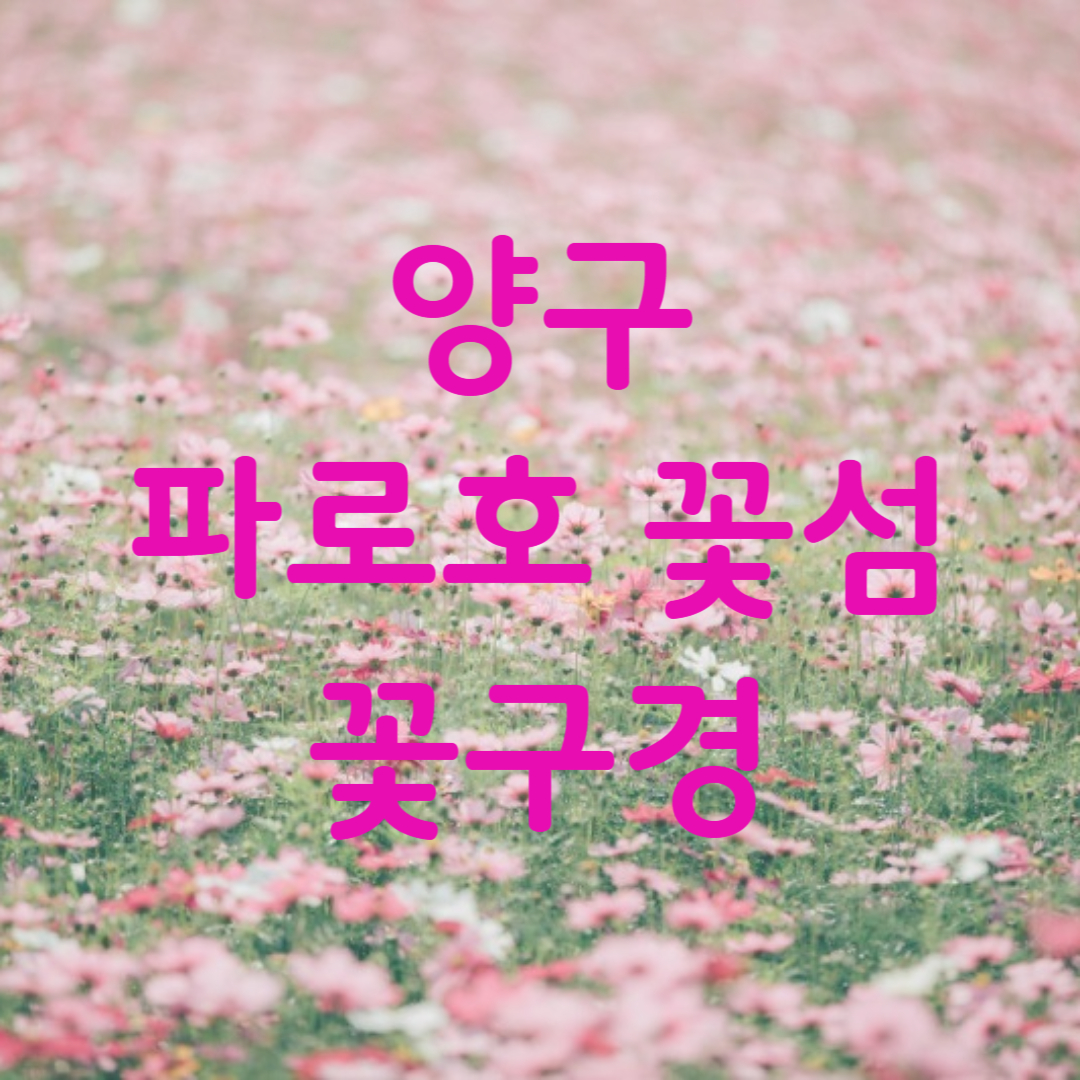 양구 파로호 꽃섬