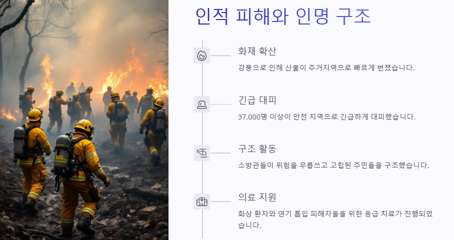 산불 피해상황 및 산불 기부연예인 총정리