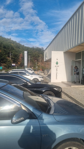 안동 뒤뜰카페 돈까스 맛집 임동 임하댐 근처 식당 추천