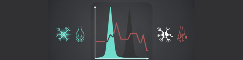KSNS 7번 법칙을 설명하는 그래프 그림. 스본스도와 토우본케어에서 중요한 개념
