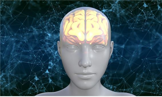 내 머릿속 조종사가 행동을 결정한다! 인지 행동의 핵심