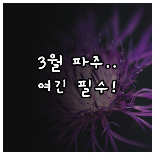 서울 근교 3월 나들이 파주 가볼만한..