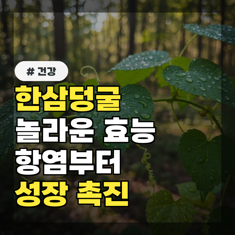 한삼덩굴 놀라운 효능 7가지! 항염부터 성장 촉진까지!