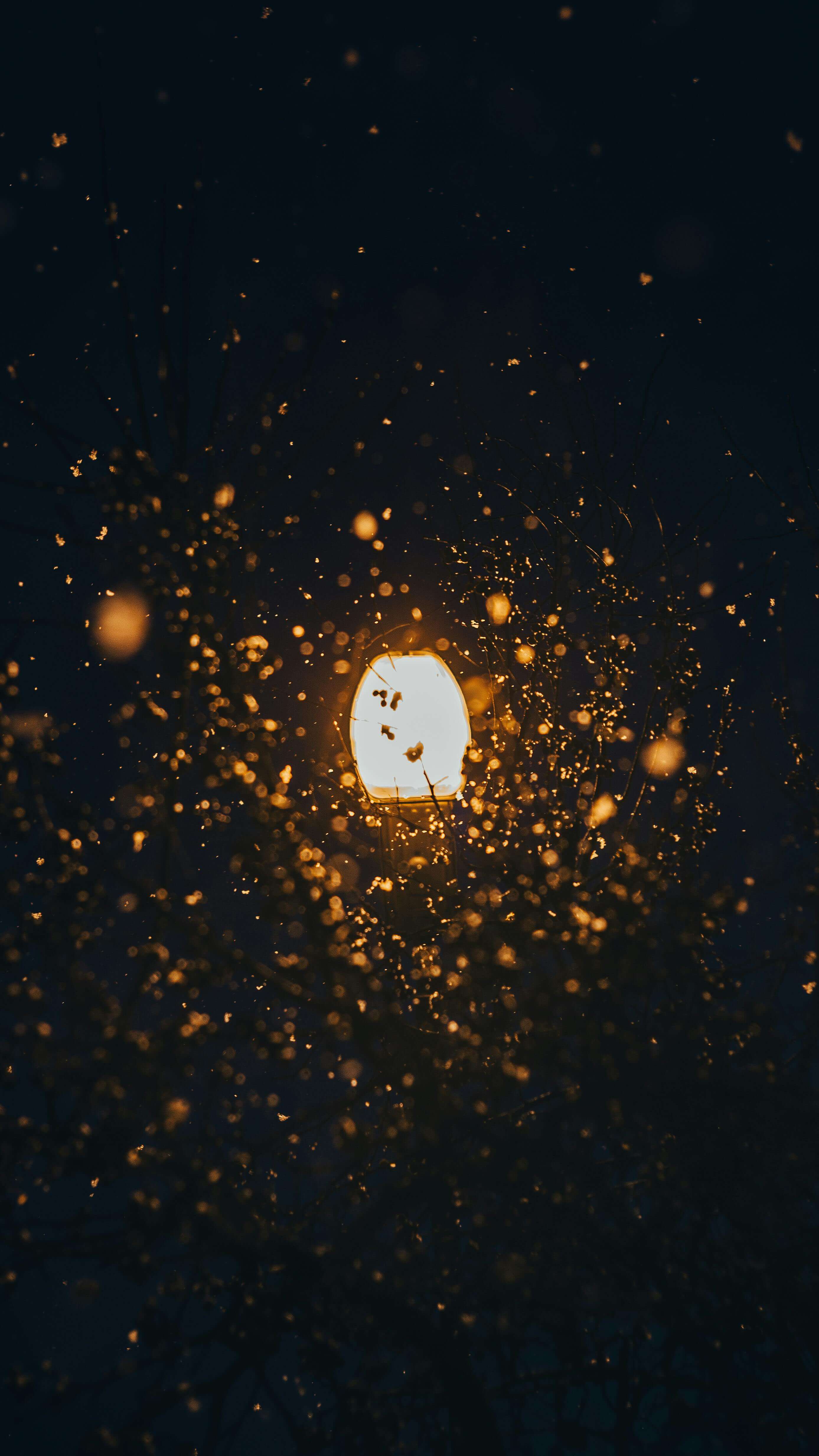 러브버그 퇴치방법