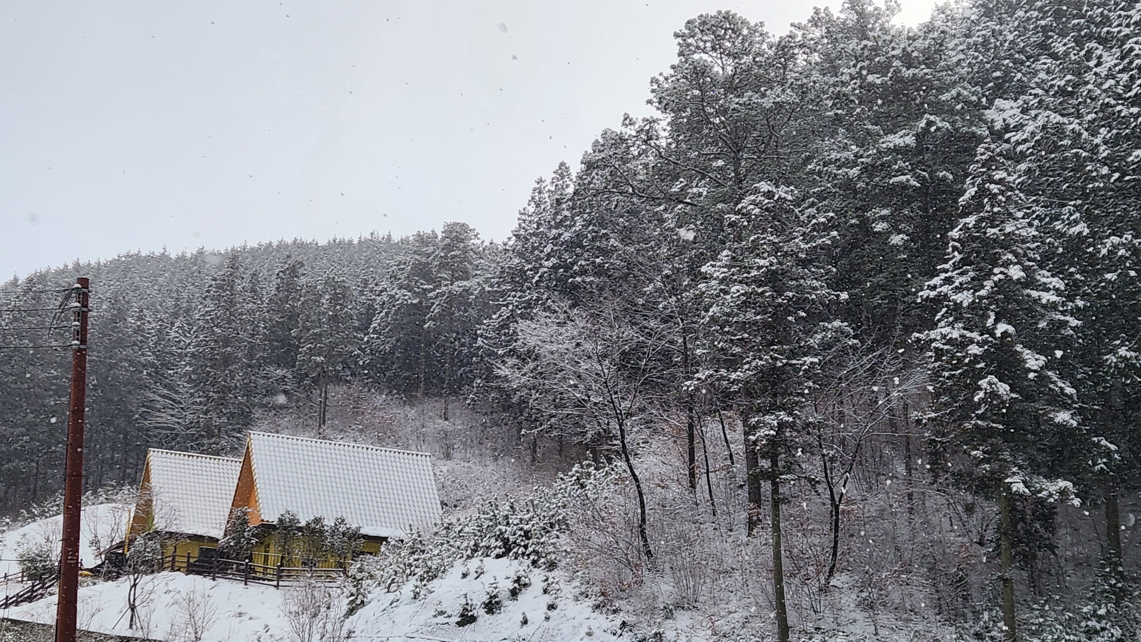 장성 치유의숲 앞 금빛휴양타운의 모습