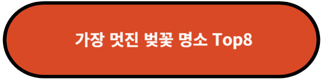 벚꽃 명소