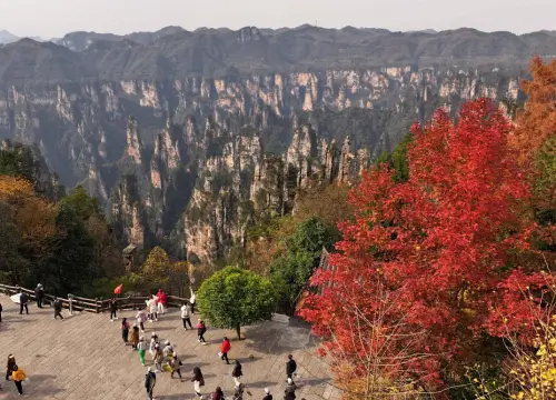 장가계-국가삼림공원-내-산책로에서-바라본-웅장한-봉우리와-붉은-단풍과-노란-잎으로-물든-가을-풍경