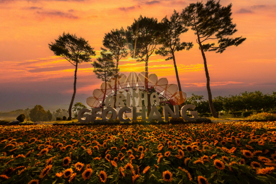 [5월 축제]창포원❘2025 거창에 온 봄 축제, 아리미아꽃축제,거창한 산양삼 축제