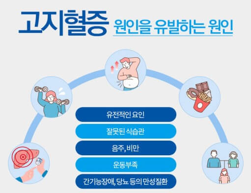 뇌졸증&amp;#44; 고지혈증 원인과 증상