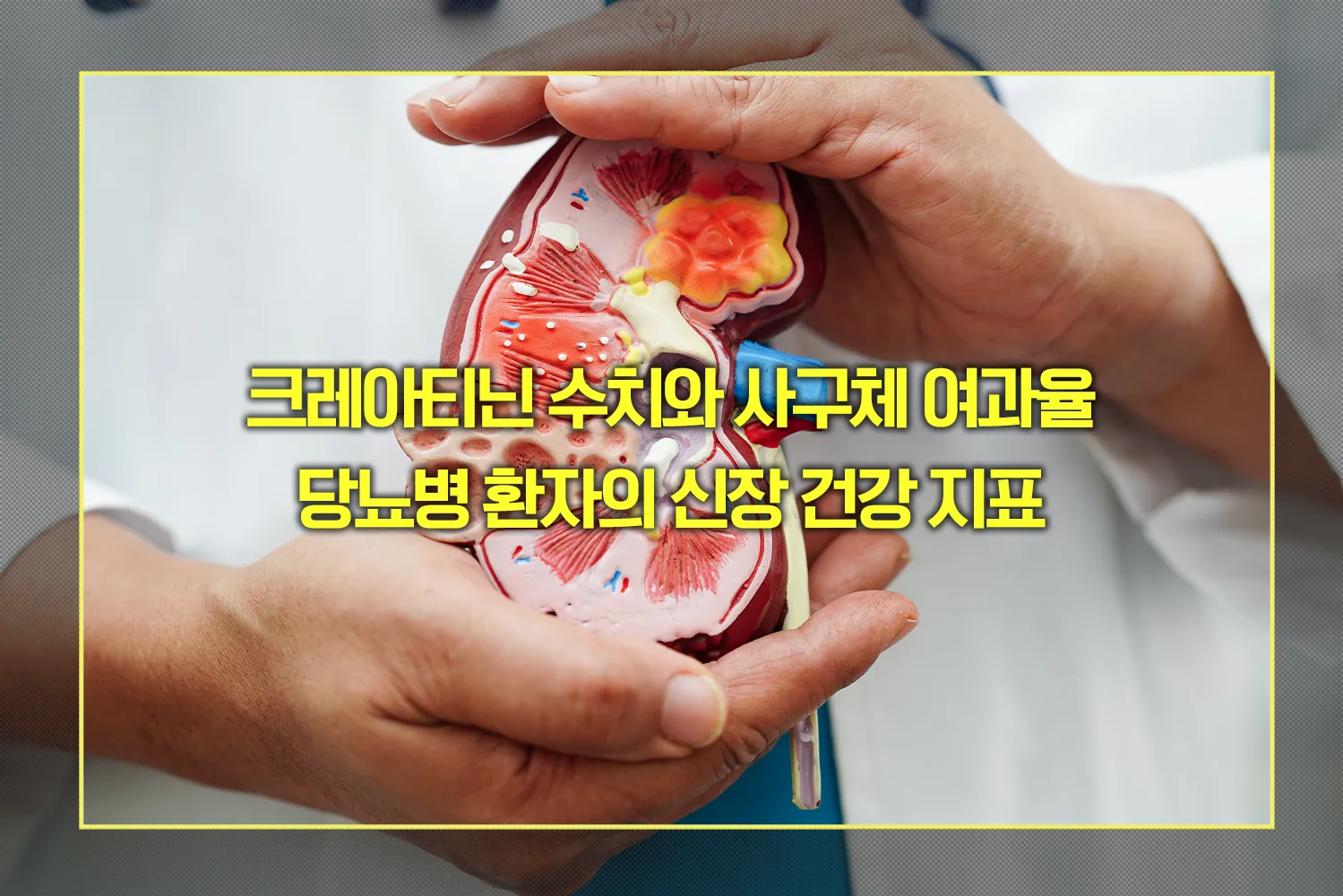 크레아티닌 수치와 사구체 여과율