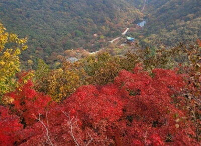 내장산 케이블카 이용하는 방법
