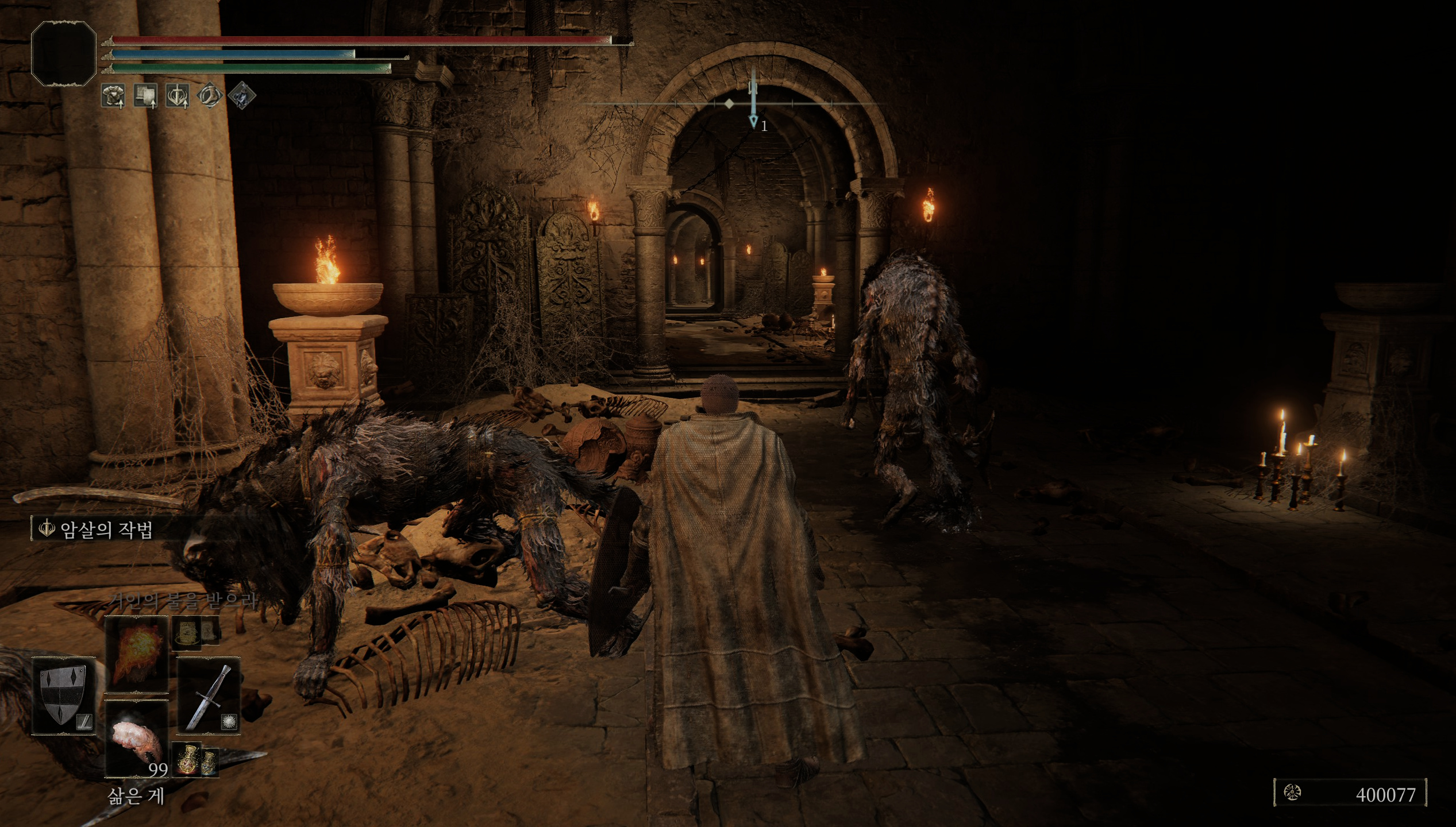 파름아즈라의 수인