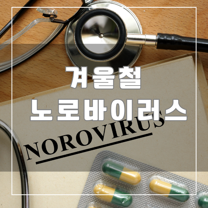 노로바이러스