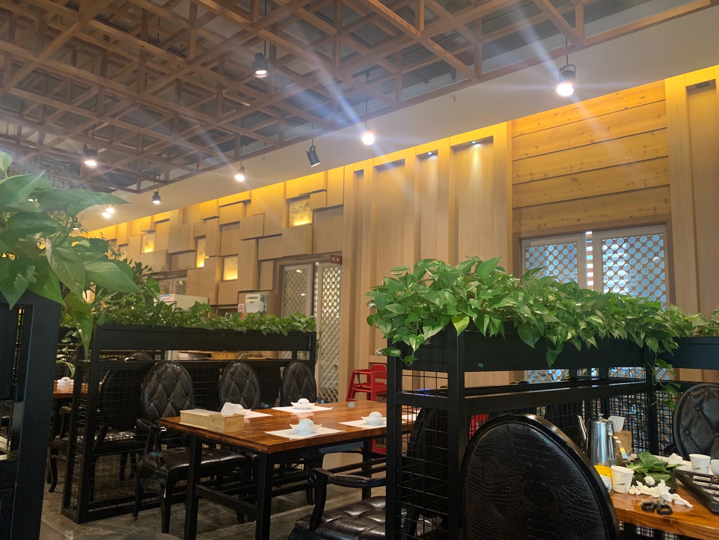 백운애꽃 전경