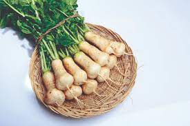 김장김치 밀키트