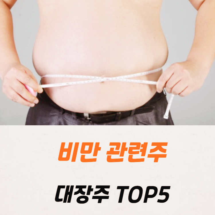 비만 관련주 대장주 수혜주 테마주 TOP5