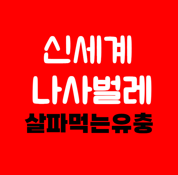 살을 파먹는 유충 신세계 나사벌레 감염사례가 나왔어요.