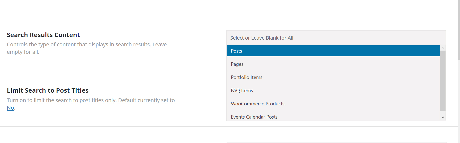 아바다 테마: 특정 포스트 타입(예: 글, 상품 페이지, 포트폴리오 등)만 검색되도록 검색 결과 제한하기
