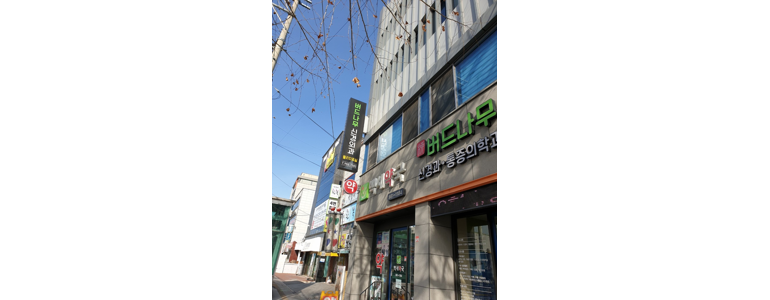 대구 동구 불면증