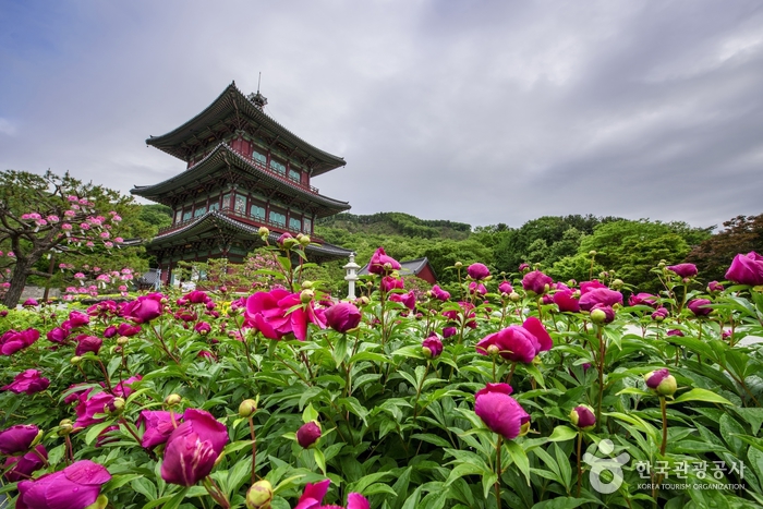 진천 가볼만한곳 베스트10