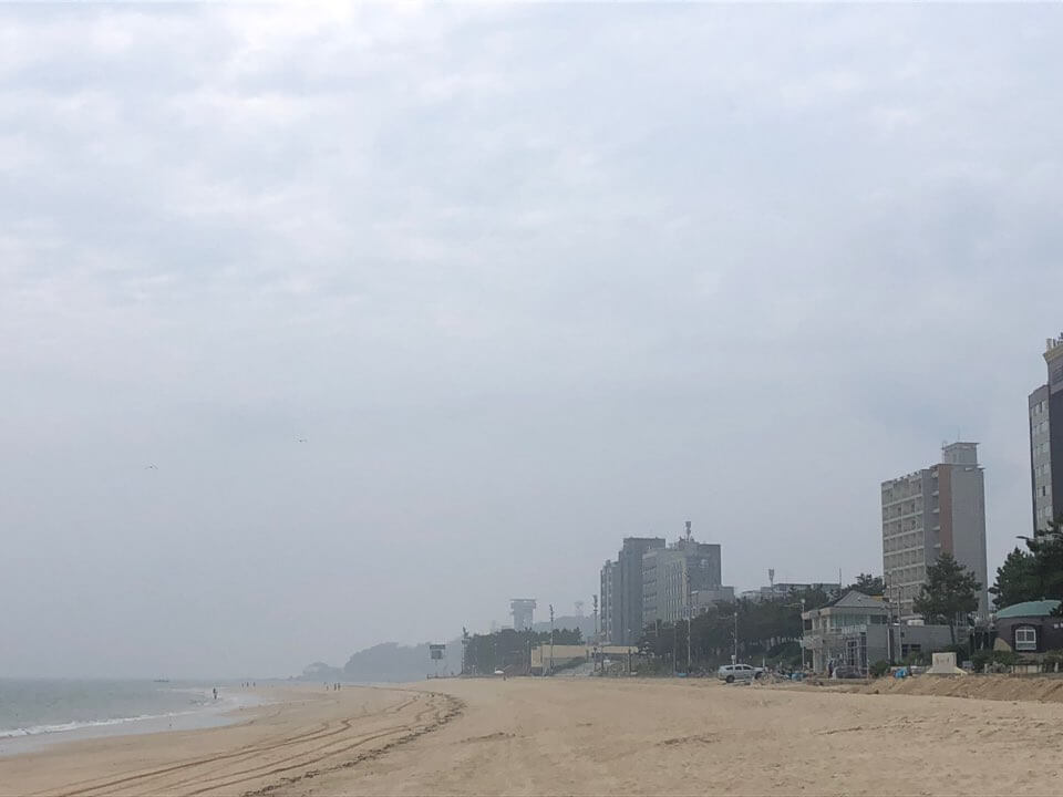 대천 짚라인 가격