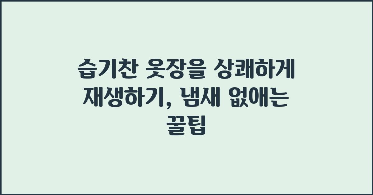 습기찬 옷장을 상쾌하게 재생하기: 냄새를 제거하고 건조함 유지하기