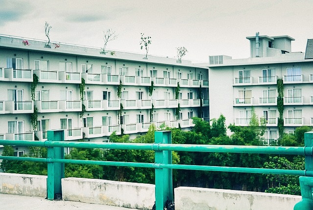 아파트 실거래가 조회방법