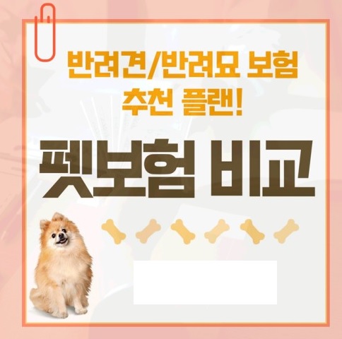펫보험 추천 비용 반려동물 보험