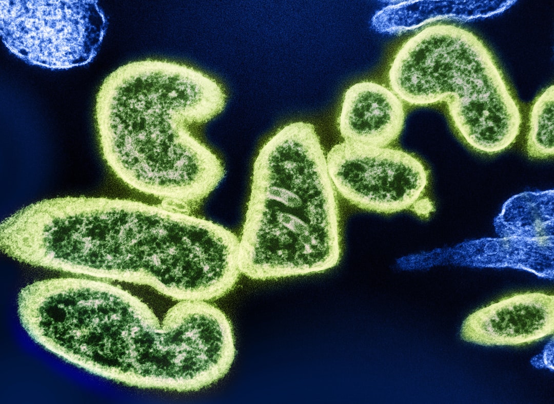 세균 (bacteria)