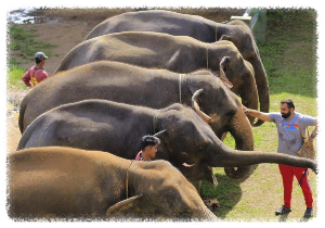 칸타 코끼리 보호구역