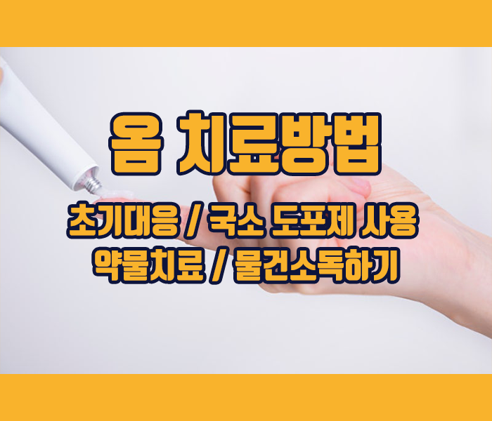옴 치료방법 - 초기대응, 국소 도포제 사용, 약물치료, 물건소독하기