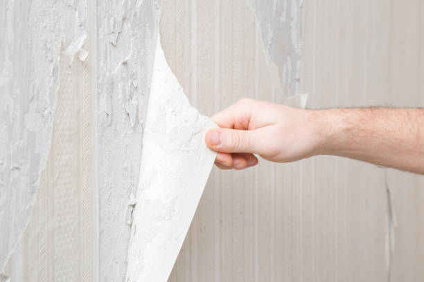 벽지를-뜯어내는-모습