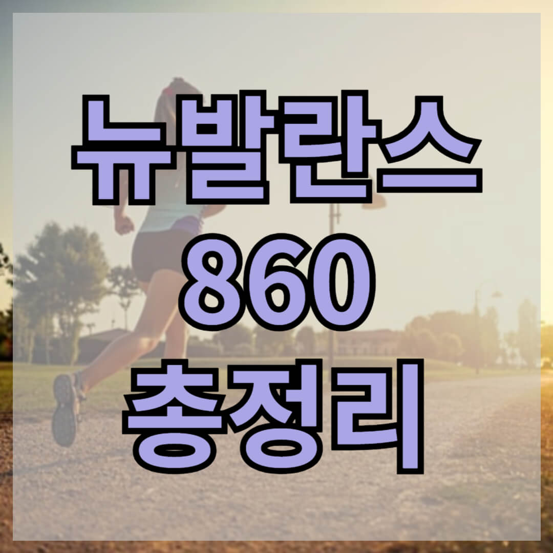 뉴발란스 860 썸네일