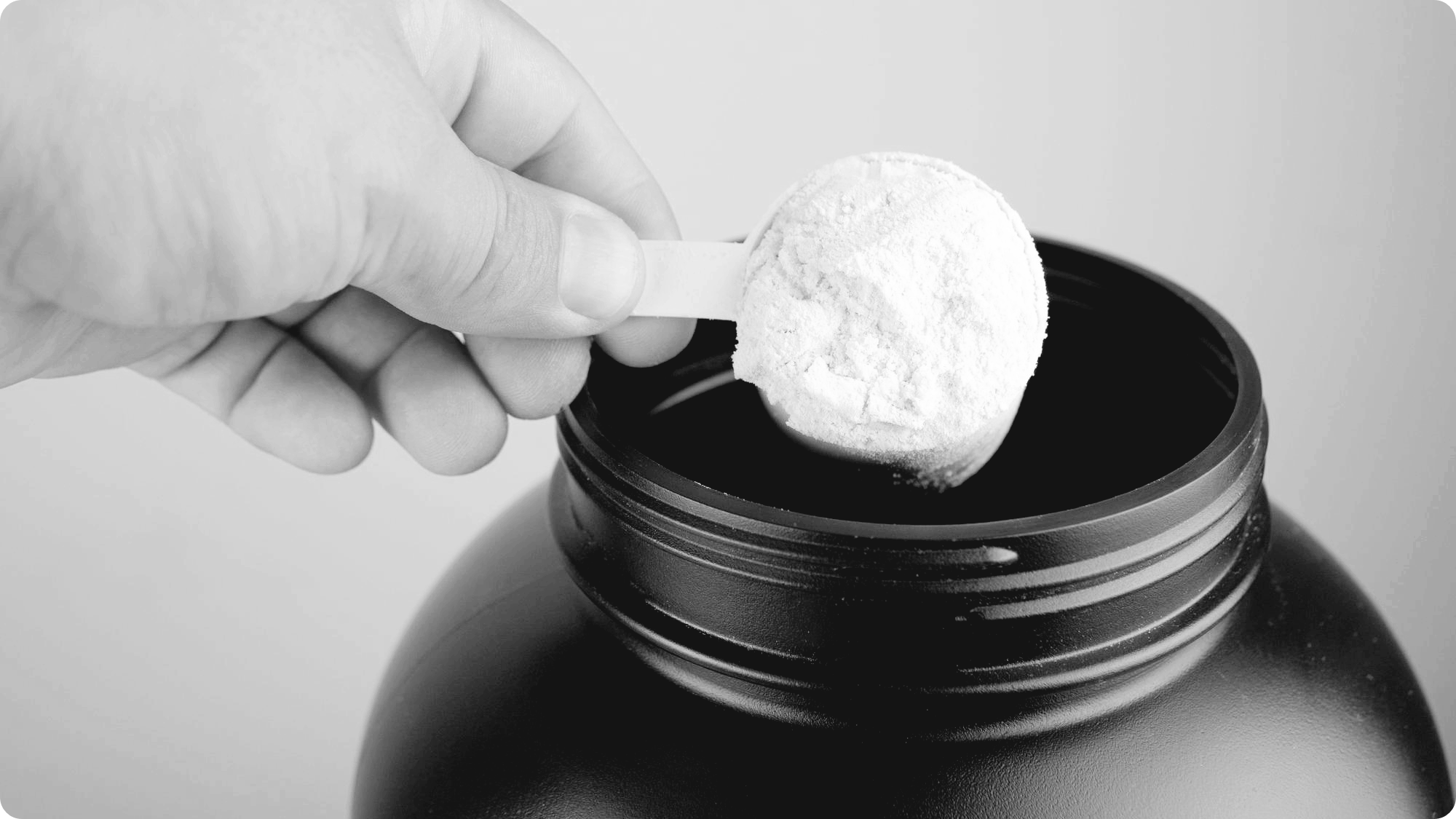 WPI vs EAA 뭘 먹어야 할까?