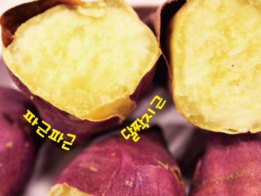 퍽퍽한 밤고구마, 왜 그럴까요? 맛있게 먹는 방법까지