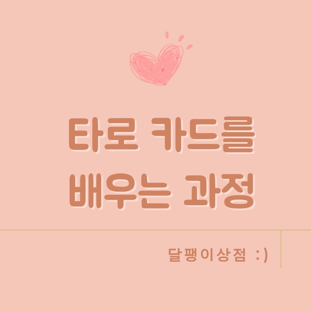 타로카드를배우는과정