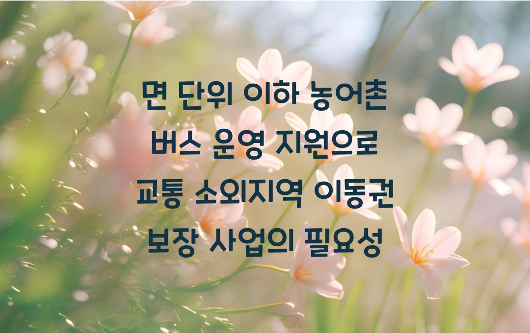 면 단위 이하 농어촌 버스 운영 지원, 교통 소외지역 이동권 보장 사업