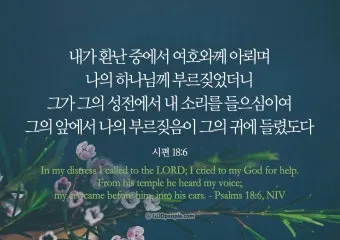 시편 61장 2절 읽기 - 내 마음이 약해질 때에 내가 땅 끝에서부터 주께 부르짖으리니_22