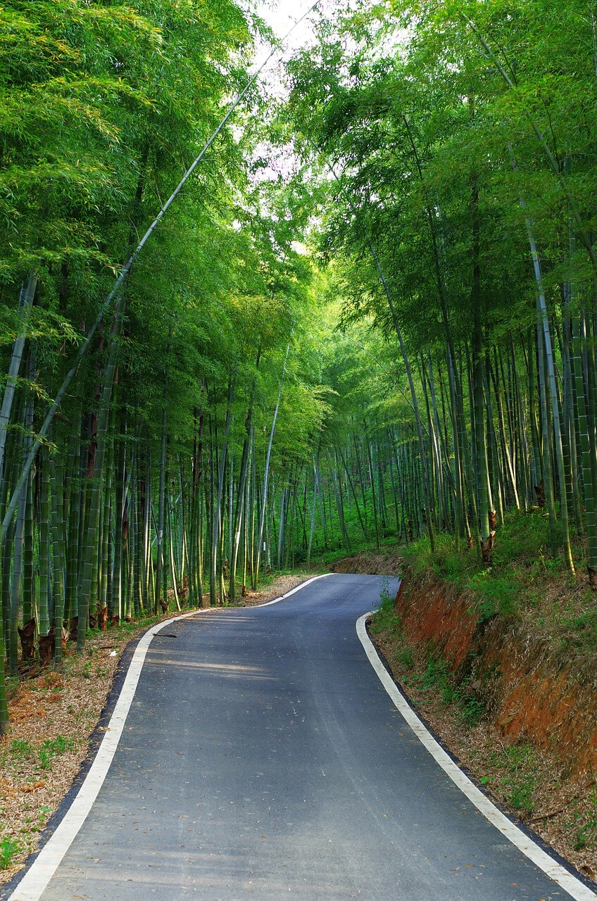 상처를 마주하고 다시 연결하기