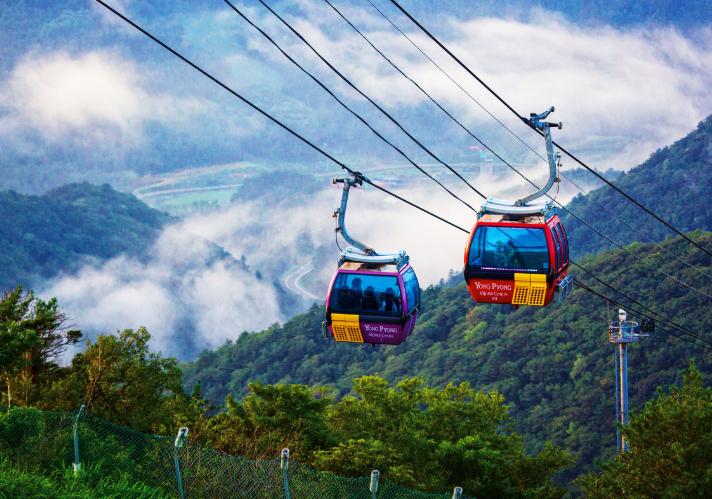 강원도 평창 발왕산과 천년주목숲길 정보