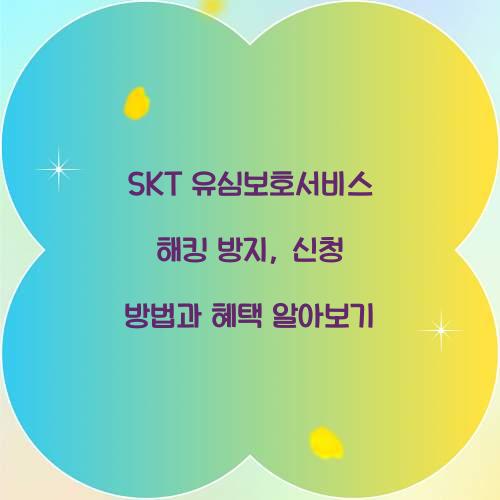 SKT 유심보호서비스 해킹 방지