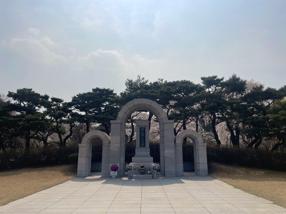 벚꽃